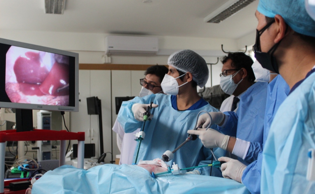 Essalud - Médicos de EsSalud se capacitan en cirugía laparoscópica de avanzada con brazo robótico